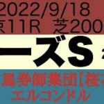 プロ馬券師集団桜花のエルコンドル氏ローズステークス2022予想！！