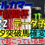 オールカマー・神戸新聞杯2022　データ予想