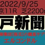 プロ馬券師集団桜花の競馬サブちゃんねるエルコンドル氏の神戸新聞杯2022予想！！