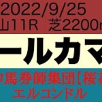 プロ馬券師集団桜花のエルコンドル氏オールカマー2022予想！！