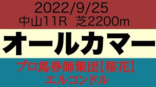 プロ馬券師集団桜花のエルコンドル氏オールカマー2022予想！！