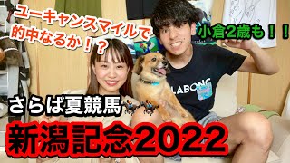 新潟記念2022~実戦～夏競馬最後は的中したい！！