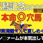 新潟記念2022本命・穴馬発表！「買い要素満載の穴馬で夏競馬しめくくる！」
