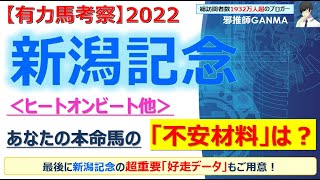 【新潟記念2022 有力馬考察】ヒートオンビート他 人気馬5頭を徹底考察！