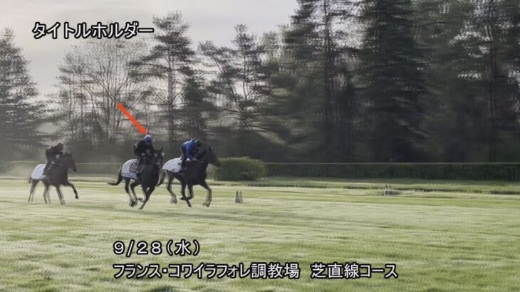 【2022凱旋門賞】日本馬4頭  最終追い切り（タイトルホルダー・ドウデュース・ディープボンド・ステイフーリッシュ）9月28日（水曜） | JRA公式