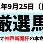 【日曜日競馬予想】　2022年9月25日（日）厳選馬　動画内でオールカマー＆神戸新聞杯の本命馬も紹介します！！