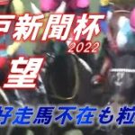 神戸新聞杯2022　展望　春GⅠ好走組不在も新興勢力に期待！！　元馬術選手のコラム【競馬】
