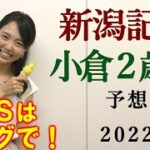 【競馬】新潟記念 小倉2歳S 2022 予想(札幌メインの丹頂Sの予想はブログで！)