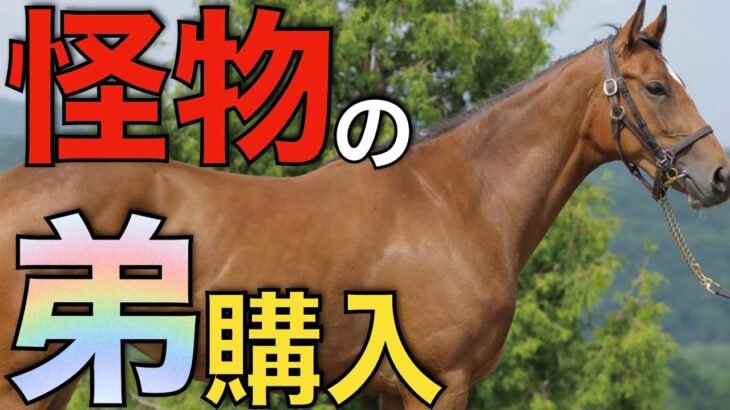 【大物すぎる】無敗3冠馬の弟が日本にやって来る！アメリカでまたも衝撃購入。