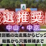 【中央競馬予想】9月18日(日)平場・特別レースの注目推奨馬ピックアップ