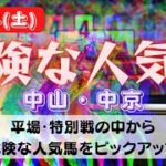 【中央競馬予想】9月24日(土)平場・特別レースの危険な人気馬ピックアップ