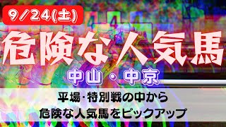 【中央競馬予想】9月24日(土)平場・特別レースの危険な人気馬ピックアップ