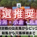 【中央競馬予想】9月3日(土)平場・特別レースの注目推奨馬ピックアップ