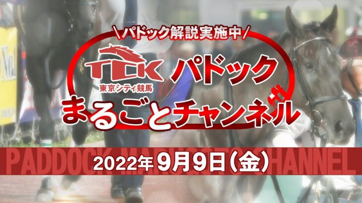TCKパドックまるごとチャンネル（2022/9/9）