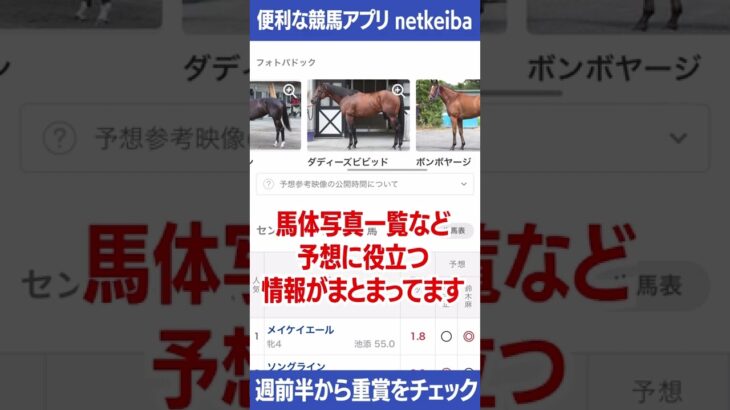 【競馬】出走予定馬や馬体、コースなど重賞の情報をひと目で確認する方法｜netkeibaネットケイバの使い方