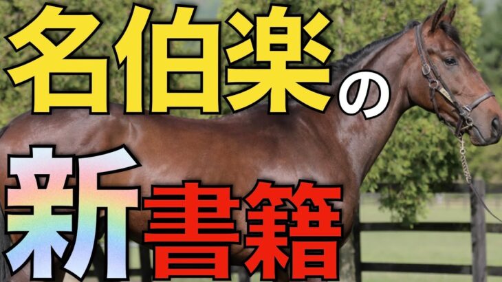 【偉大すぎる】藤沢和雄先生が考えるこれからの競馬とは！全ファンにオススメの1冊。