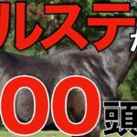 【大種牡馬へ】注目のシルバーステートは大台200頭！優駿SSが種付け頭数を発表。