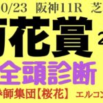 プロ馬券師集団桜花のエルコンドル氏の菊花賞2022全頭診断！！