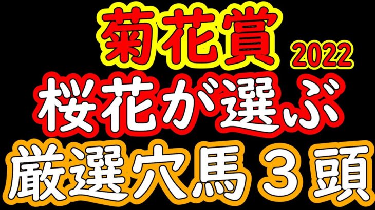 菊花賞2022桜花が選ぶ厳選穴馬３頭　プロ馬券師集団桜花