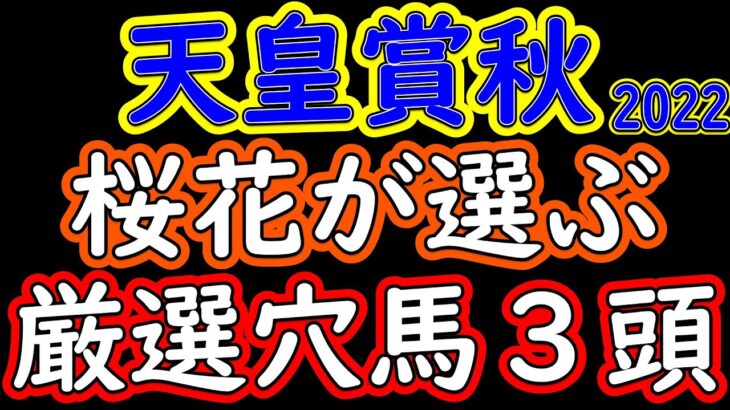 天皇賞秋2022桜花が選ぶ厳選穴馬３頭！プロ馬券師集団桜花