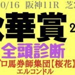 プロ馬券師集団桜花エルコンドル氏の秋華賞2022全頭診断！！