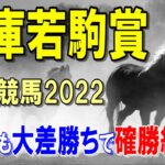兵庫若駒賞【園田競馬2022予想】相手探しのレースになりそうです