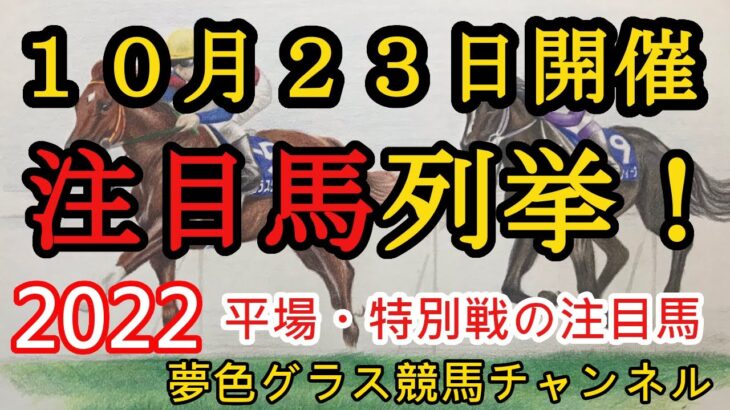 【注目馬列挙・平場予想】2022年10月23日JRA平場特別戦！新潟牝馬ステークスはこの馬に期待！土曜日のように安定して成績を出したい！