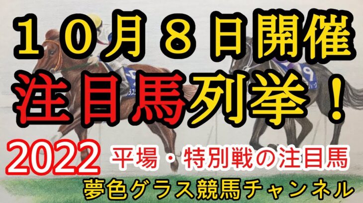 【注目馬列挙・平場予想】2022年10月8日JRA平場特別戦！阪神メイン大阪スポーツ杯はこの馬と鞍上に注目！