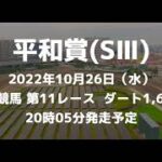 【船橋競馬】第68回 平和賞（SⅢ） 船橋追い切り【ドローン】