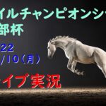 【地方競馬】南部杯 朝から生競馬　ライブ配信　（阪神→東京）Horse Racing Commentary