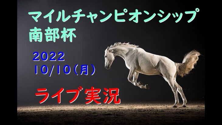 【地方競馬】南部杯 朝から生競馬　ライブ配信　（阪神→東京）Horse Racing Commentary
