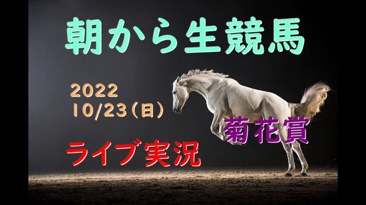 【中央競馬】　菊花賞 　 朝から生競馬　ライブ配信　（新潟→東京→阪神）Horse Racing Commentary