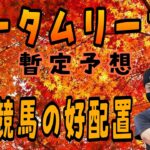 【オータムリーフS】10月22日（土）阪神競馬の出馬表からの騎手、厩舎の好配置発表。暫定予想は11Rオータムリーフステークスです。