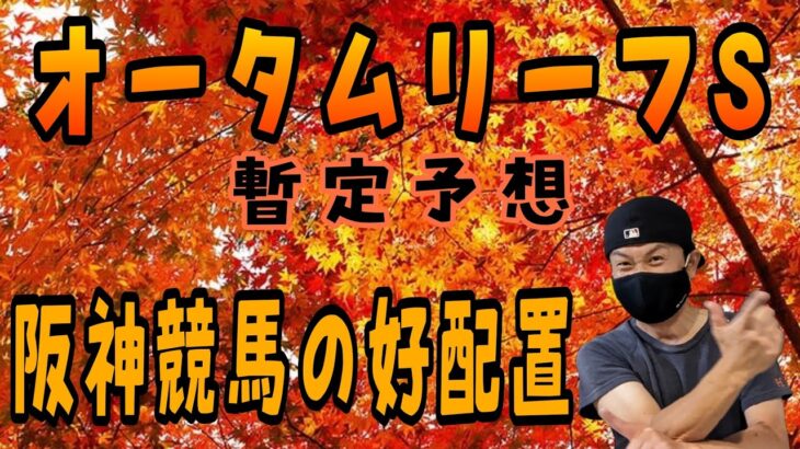 【オータムリーフS】10月22日（土）阪神競馬の出馬表からの騎手、厩舎の好配置発表。暫定予想は11Rオータムリーフステークスです。