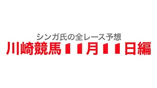 11月11日川崎競馬【全レース予想】晩秋特別2022