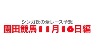 11月16日園田競馬【全レース予想】JRA交流大和川特別2022