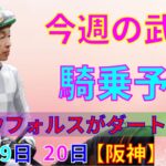 【競馬】今週の武豊騎乗予定11月19日、20日は阪神で騎乗します！マイルチャンピオンシップももちろん騎乗☆