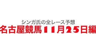 11月25日名古屋競馬【全レース予想】トパーズオープン2022