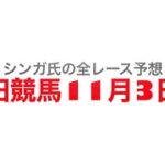 11月3日園田競馬【全レース予想】おお浜ポン酢特別2022