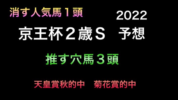 【競馬予想】 京王杯2歳ステークス 2022 予想