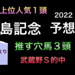【競馬予想】 福島記念 2022 予想