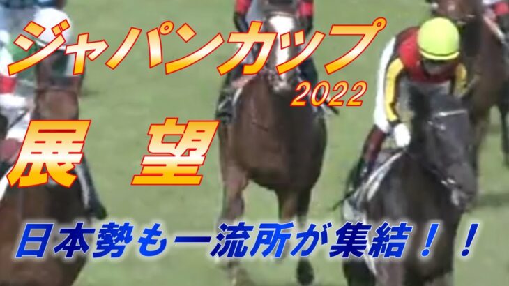 ジャパンカップ2022　日本勢の展望！！　一流馬が集結！世界のジャパンカップに向けて！！　元馬術選手のコラム【競馬】