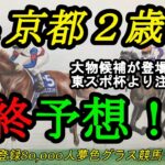 【最終予想】2022京都2歳ステークス！今年は大物候補が登場する大注目の1戦！本命馬は操縦性の良さ、厩舎力も魅力的？