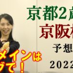 【競馬】京都2歳S 京阪杯 2022 予想(日曜阪神のカノープスSはブログで！)