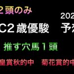 【競馬予想】 JBC2歳優駿 2022 予想