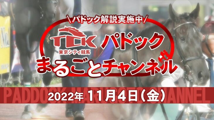 TCKパドックまるごとチャンネル（2022/11/4）