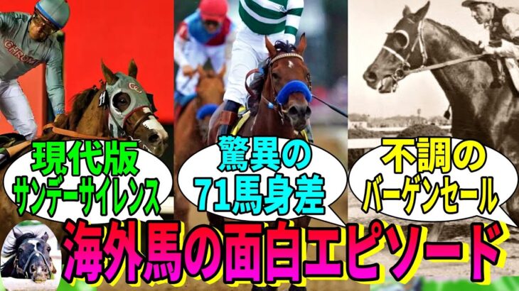 【競馬の反応集】「海外馬の面白いエピソードを教えてくれ」に対する視聴者の反応集