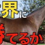 【強豪だらけ】アルピニスタは回避でも好メンバー揃う！世界に日本馬は勝てるか。