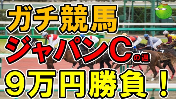 【競馬】ジャパンカップの日に９万円勝負！