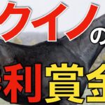 【憧れる】天皇賞を勝利したイクイノックスの一口賞金をご紹介！夢がありすぎた。